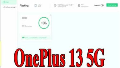 how-to-unbrick-oneplus-13-pjz110-services